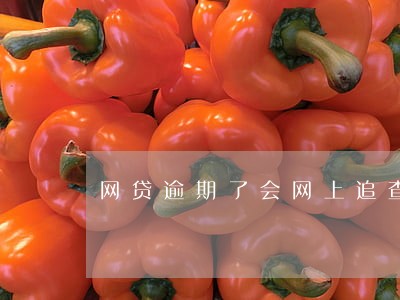 网贷逾期了会网上追查吗 网贷逾期了会网上追查吗