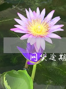 网贷逾期了会联系