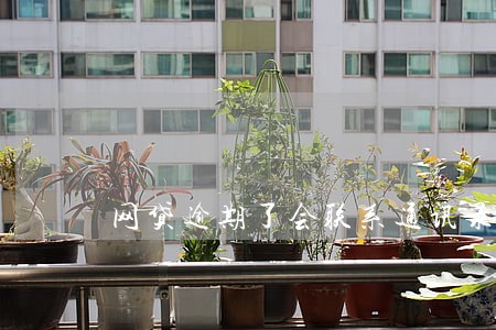 网贷逾期了会联系通讯录 网贷逾期了会联系通讯录