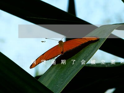 网贷逾期了会被立案吗 网贷逾期了会被立案吗