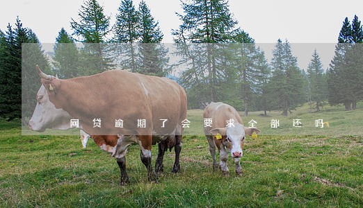 网贷逾期了会要求全部还吗 网贷逾期了会要求全部还吗