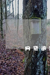 网贷逾期了会让家人还吗 网贷逾期了会让家人还吗
