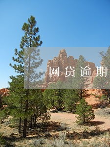 网贷逾期了会追回个人财产吗 网贷逾期了会追回个人财产吗