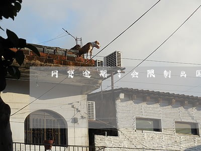网贷逾期了会限制出国吗 网贷逾期了会限制出国吗