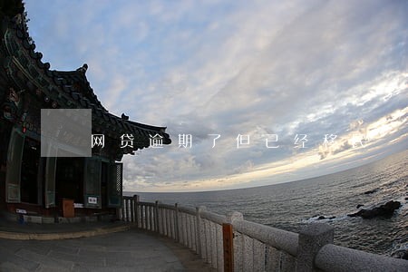 网贷逾期了但已经移民 网贷逾期了但已经移民