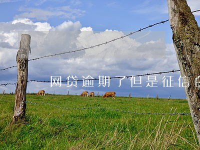 网贷逾期了但是征信白户 网贷逾期了但是征信白户