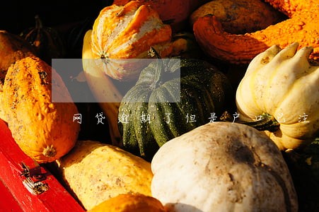 网贷逾期了但是户口已注销 网贷逾期了但是户口已注销
