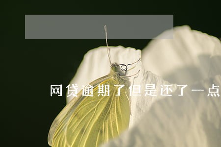 网贷逾期了但是还了一点