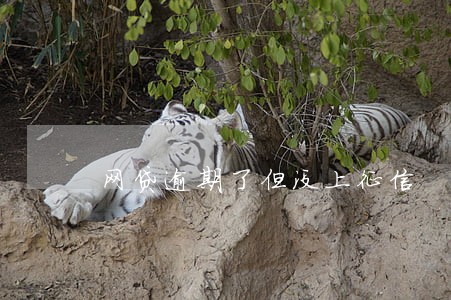 网贷逾期了但没上征信 网贷逾期了但没上征信