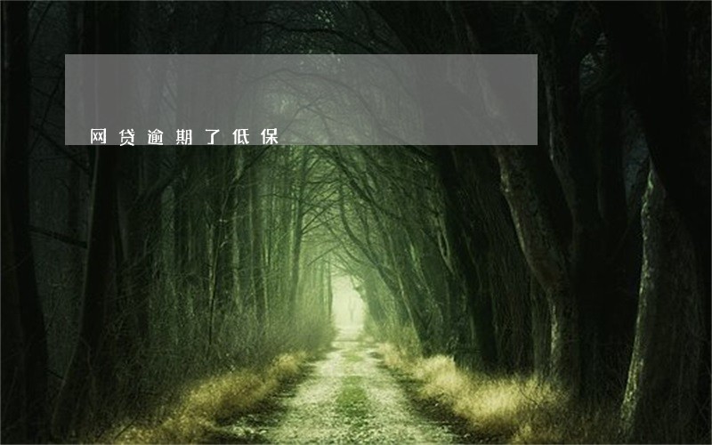 网贷逾期了低保 网贷逾期了低保