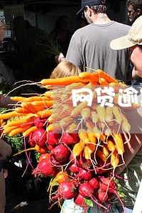 网贷逾期了保险公司打电话 网贷逾期了保险公司打电话
