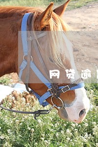 网贷逾期了信息跟电话无限催 网贷逾期了信息跟电话无限催