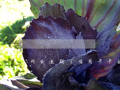 网贷逾期了信用卡卡会怎么样 网贷逾期了信用卡卡会怎么样