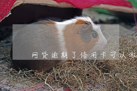 网贷逾期了信用卡可以激活吗 网贷逾期了信用卡可以激活吗