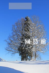 网贷逾期了信用卡能刷吗 网贷逾期了信用卡能刷吗