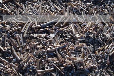 网贷逾期了信用卡还会提额 网贷逾期了信用卡还会提额
