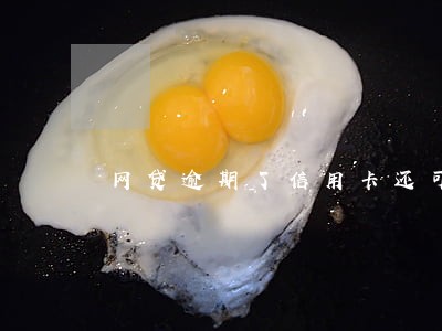网贷逾期了信用卡还可以提额吗
