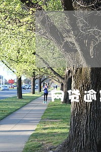 网贷逾期了信用卡还要不要逾期