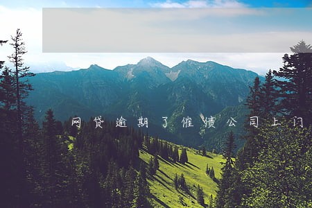 网贷逾期了催债公司上门来找我 网贷逾期了催债公司上门来找我