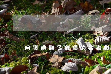 网贷逾期了催债的会来自己店吗 网贷逾期了催债的会来自己店吗