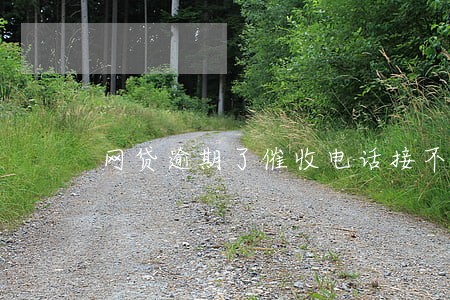 网贷逾期了催收电话接不接 网贷逾期了催收电话接不接