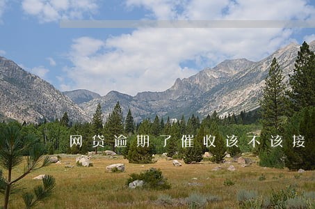 网贷逾期了催收该不该接电话 网贷逾期了催收该不该接电话