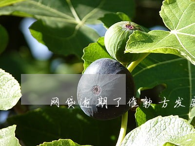网贷逾期了催款方发威胁短信