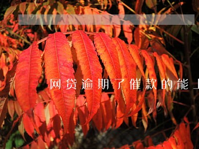 网贷逾期了催款的能上门吗 网贷逾期了催款的能上门吗