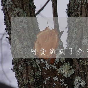 网贷逾期了全部拒贷 网贷逾期了全部拒贷