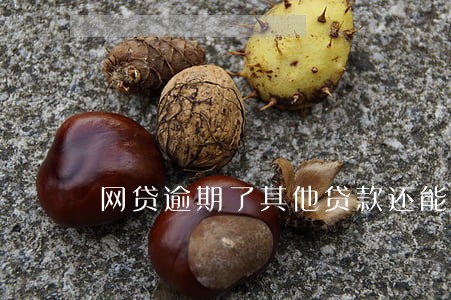 网贷逾期了其他贷款还能借到吗 网贷逾期了其他贷款还能借到吗