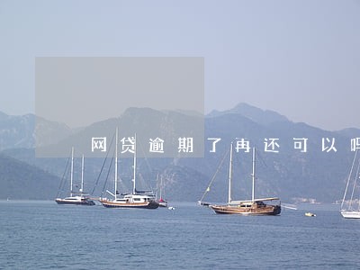 网贷逾期了再还可以吗 网贷逾期了再还可以吗