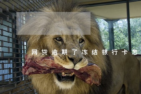 网贷逾期了冻结银行卡怎么办 网贷逾期了冻结银行卡怎么办