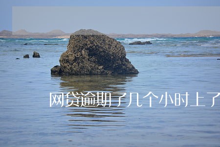 网贷逾期了几个小时上了征信 网贷逾期了几个小时上了征信