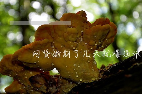 网贷逾期了几天就爆通讯录 网贷逾期了几天就爆通讯录