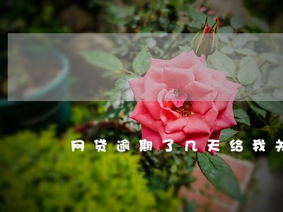 网贷逾期了几天给我关注了怎么办 网贷逾期了几天给我关注了怎么办