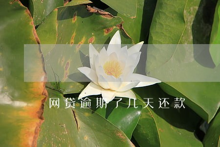 网贷逾期了几天还款 网贷逾期了几天还款