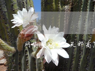 网贷逾期了几天邪高怎么样