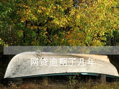 网贷逾期了几年