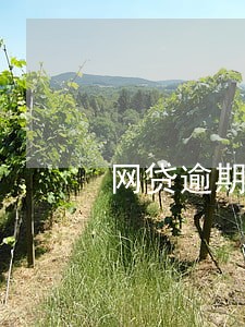 网贷逾期了几百块钱 网贷逾期了几百块钱