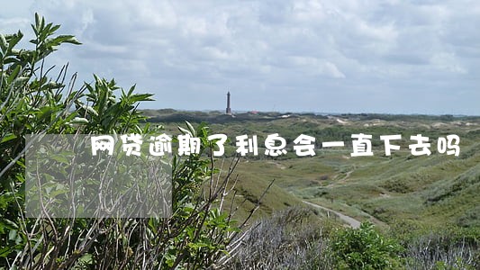 网贷逾期了利息会一直下去吗 网贷逾期了利息会一直下去吗