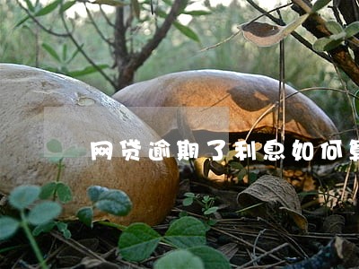 网贷逾期了利息如何算 网贷逾期了利息如何算