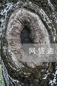 网贷逾期了利息很多怎么办 网贷逾期了利息很多怎么办