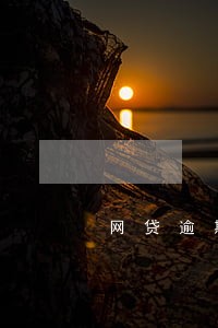 网贷逾期了利息是多少