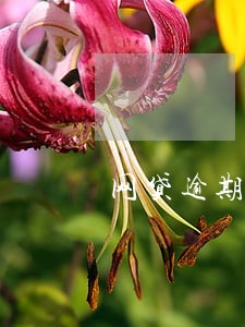 网贷逾期了利息高要不要还 网贷逾期了利息高要不要还