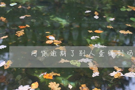 网贷逾期了别人查得到吗 网贷逾期了别人查得到吗