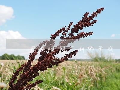 网贷逾期了到哪借钱