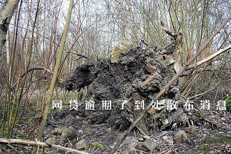 网贷逾期了到处散布消息 网贷逾期了到处散布消息