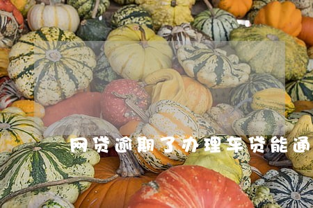 网贷逾期了办理车贷能通过吗 网贷逾期了办理车贷能通过吗
