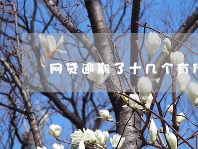 网贷逾期了十几个有什么办吗 网贷逾期了十几个有什么办吗