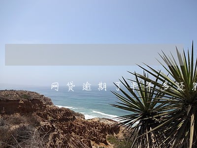 网贷逾期了半年多还能贷款吗 网贷逾期了半年多还能贷款吗